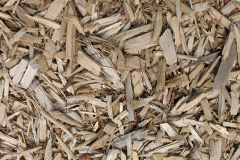 biomass boilers Smeaton